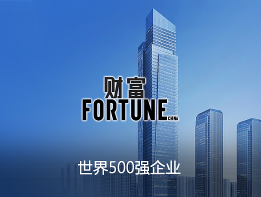 财富杂志企业官网案例