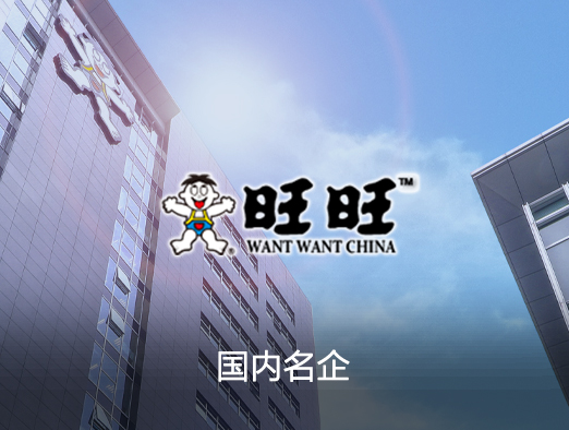 旺旺集团电商系统案例